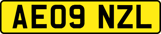 AE09NZL