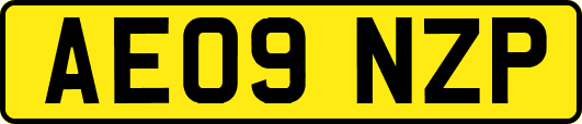 AE09NZP