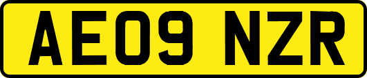 AE09NZR