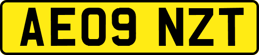 AE09NZT