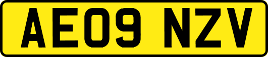 AE09NZV