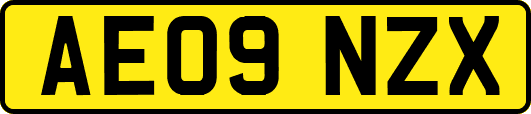 AE09NZX