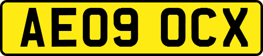 AE09OCX