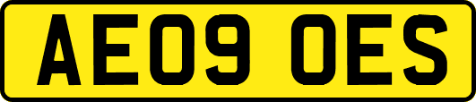AE09OES