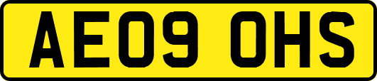 AE09OHS