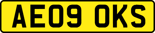 AE09OKS