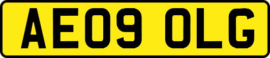 AE09OLG