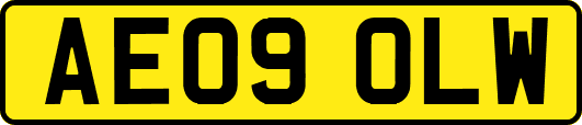 AE09OLW