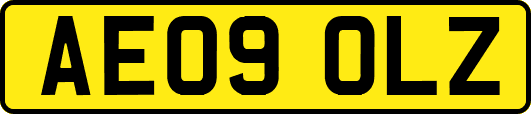 AE09OLZ