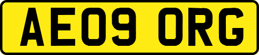 AE09ORG