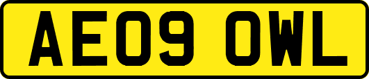 AE09OWL