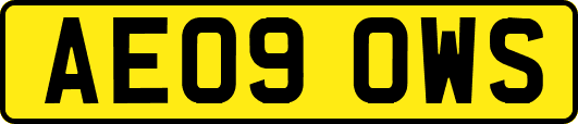 AE09OWS