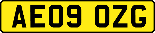 AE09OZG