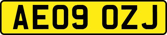 AE09OZJ