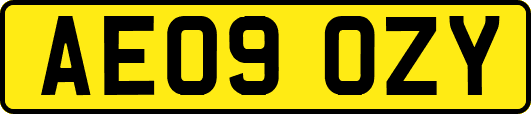 AE09OZY