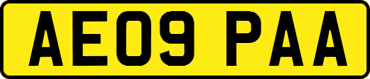 AE09PAA