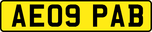 AE09PAB