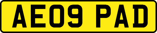 AE09PAD