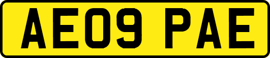 AE09PAE