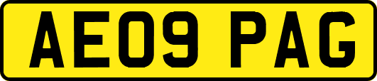 AE09PAG