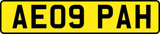 AE09PAH