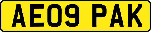 AE09PAK