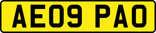 AE09PAO
