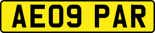 AE09PAR