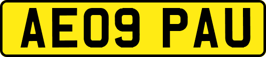 AE09PAU