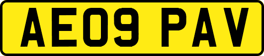 AE09PAV