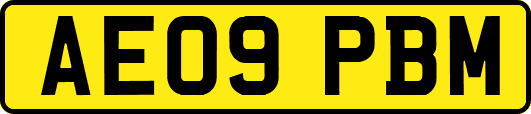 AE09PBM