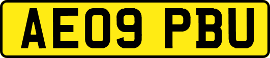 AE09PBU