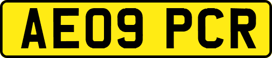 AE09PCR