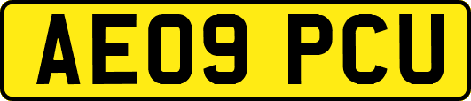AE09PCU