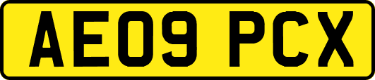 AE09PCX