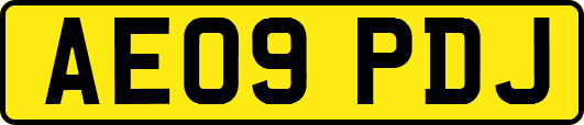 AE09PDJ