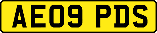 AE09PDS