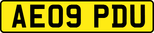 AE09PDU