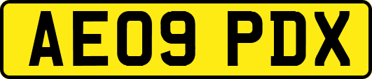 AE09PDX