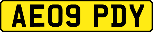 AE09PDY