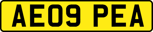 AE09PEA
