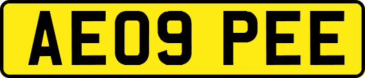AE09PEE