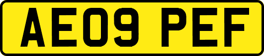 AE09PEF