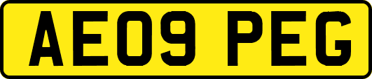 AE09PEG