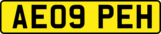 AE09PEH