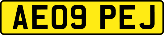 AE09PEJ