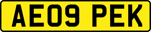 AE09PEK