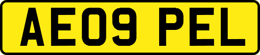 AE09PEL
