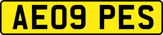 AE09PES
