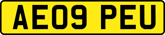 AE09PEU
